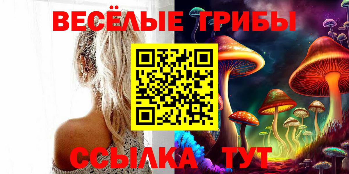 Псилоцибиновые грибы прущие грибы  Вход с VPN  Петрозаводск 