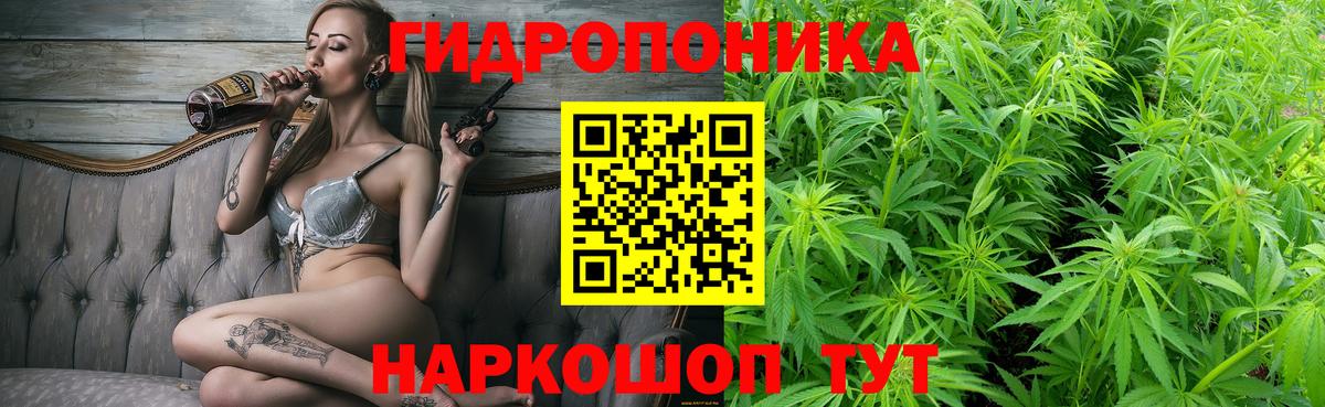 Шишки марихуана ГИДРОПОН Петрозаводск